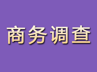 镇康商务调查